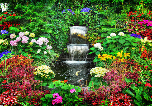 Riachuelo entre Flores