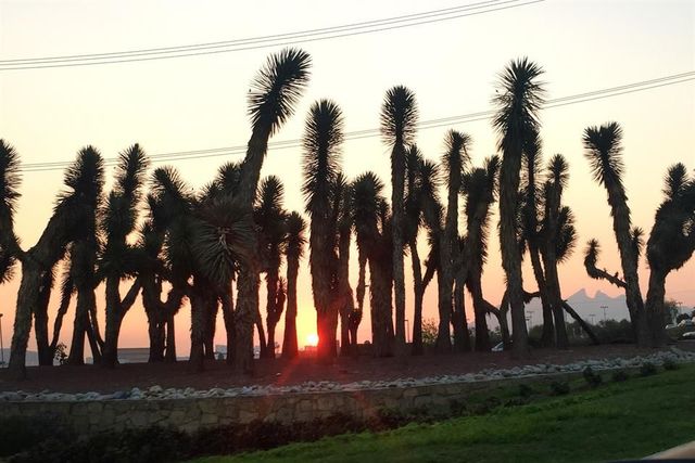 Bailando al Amanecer