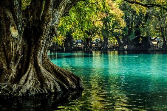 Lago de Camecuaro,Michoacan