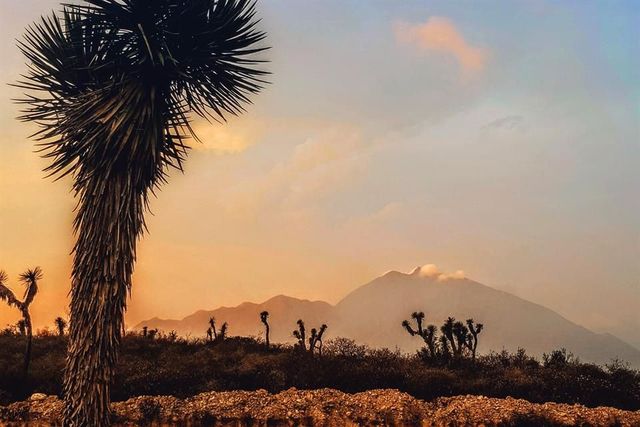 Desde el Desierto
