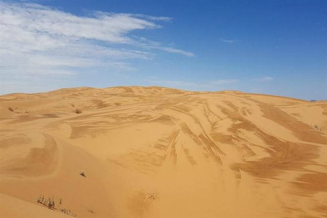 Desierto de Altar Sonora