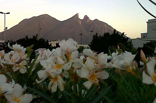 Cerro de la Silla,Mty,N.L.